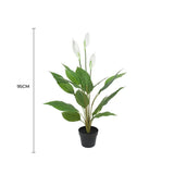 Artificial Flowering White Peace Lily / Calla Lily 95cm V637-DP1128560