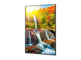 SHARP ME-series 50'' Display DS-SHPNME502