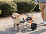 Dog Wheelchair for Back Legs, Lightweight 2 Wheels Pet Wheelchair, Height, Width & Length V952-CWLYLLSDHLLLEG3Z4001V0