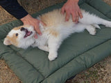 High-Quality Pet Portable Moisture-Proof Mattress, 120x80cm Large Size, Foldable for Storage, V1232-GGLYC005