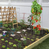 Tomato Cages, 30 x 30 x 117 cm, 5 Packs Square Plant Support Cages, Silver PVC-Coated Steel Tomato V952-FXKZDFQZZ1246265OV0