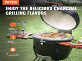 Portable Charcoal Propane Gas Grills with Cover and Cart, Heavy Duty Stainless Steel BBQ V952-TCYXLYC243700Y92IV0