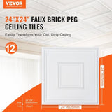 Ceiling Tiles 12-Pack 24 x 24 in PVC Easy Installation White Geometric V952-THBZPVCB12J2BINQSV0