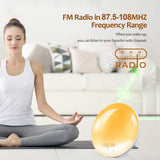 1 Pack Wake Up Light Alarm Clock with FM Radio and Sunrise Sunset Simulation V1188-MS-325-0280