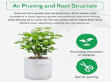 5-Pack Plant Grow Bags, Aeration Non-Woven Biodegradable Plant Nursery Bags with Handle, V1192-AZ-W-16939