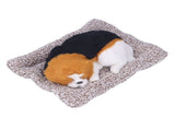 Simulation with Sound Lovely Vivid Novel Gifts Plush Plastic Material Toy Car DecorationBig V1294-YM0523-3115220002215