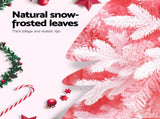 Jingle Jollys Christmas Tree 1.8m Pink Xmas Tree Snowy Party Decor 810 Tips XM-TR-WELL-6FT-PINK-GS