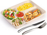 50 Pack 5 Compartment Disposable Paper Plates, 11" x 8" Compostable Bagasse School Lunch Tray, V1259-DP01-A-896