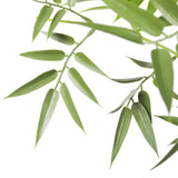 Premium Natural Cane Artificial Bamboo 180cm V637-DP1197668