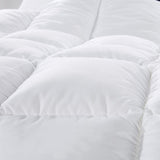 Royal Comfort Goose Feather & Down Quilt King - 500GSM ABM-201055
