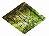 Forests Sunlight Printing Shading Curtains for Balcony Bedroom Drawing Room Window 170 * 200cm V1294-YM0901-JY35918-02