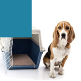 2pcs Waterproof Washable Training Pee Pads - Jumbo 69_DK1010-JUMBO-2