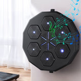 Everfit Music Boxing Machine Bluetooth Target Punching USB Chargeable Home Gym BOXING-A-MUSIC-BK