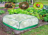 Garden Plant Cover-Bird Barrier Netting,Protect Vegetables, and Strawberries from Damage by Animals V1370-AZ4-06417