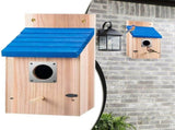 Outdoor Wooden Bird House Natural Cedar Hanging Nest for Bluebirds, Wrens & Tree Swallows, V1192-AZ-W-26333
