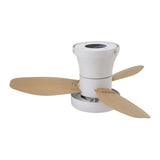 25 Inch Ceiling Fan with Light and Remote Flush Mount Quiet DC Motor 6 Speeds Dimmable 3000-6500K V1294-YM0901-3119250021111