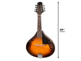 Karrera Traditional Mandolin Guitar - Sunburst MDL-TDT