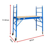 Mobile Safety High Scaffold / Ladder Tool -450KG V63-821193