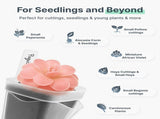 Semi-Transparent Pink Square Self-Watering Propagation Pot for Desktop Succulents, Seedlings, and V1341-ZY-J99X4UDS-H-12PCS