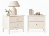 Artiss 2x Bedside Table 2 Drawers Bedroom Storage Nightstand White FURNI-G-BS-01-WHX2