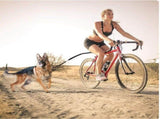Ride Free, Walk Your Pup Hands-Free Bike Dog Leash with Shock-Absorbing Bungee, Adjustable Bike V1341-ZY-BP7TVXKC-BLACK