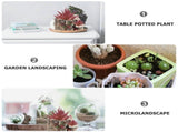 Concrete Flowerpot Rabbit Shape Multi Cement 1 Pcs V1366-AZ2-W-22012