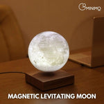 GOMINIMO Magnetic Levitating Moon Dark Brown Base V227-3720101000140