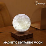 GOMINIMO Magnetic Levitating Moon Dark Brown Base V227-3720101000140