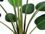 Grand Artificial Potted Travellers Palm 180cm V637-DP75267