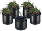 RDWC Hydroponics Grow System, Hydroponic Growing Kit with Top Drip, Recirculating Deep Water Culture V952-SSSPXT41T8INE1FIBV3