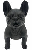 Danny French Bulldog Statue 47cm V637-E144286