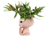 Head Planter Resin Unique Succulent Flower Pot Open Eyed Alien Face Planter Desktop Ornament with V1294-YM0710-3111230268911