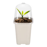 10PCS Seeding Starter Pots, Square Frosted Plastic Nursery Flower Pot with Ventilated V1370-AZ4-00455