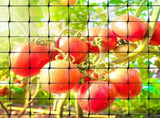 6.8ft x 65ft Anti Bird Netting, Pond Net with 50pcs Cable Ties - Protect Your Garden Vegetables V1258-DP02-C-247