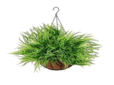 Artificial Hanging Boston Fern With Basket, UV Resistant Greenery, Lifelike Hanging Planter For V1369-AZ3-W-15165