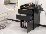Artiss Professional Salon Station Rolling Cart, Hair Styling Beauty Cabinet with 2 Drawers, Large FUR-AD-SAL-03-BK