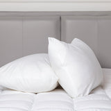 100 Percent Cotton Pillow Cover with 800g Poly Fill, Hypoallergenic, Antibacterial, and Cooling V196-P200_K