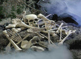 28Pcs Halloween Skeleton Bones Halloween Props Skeleton Tricky Bones Haunted House Party Decorations V1294-YM0717-10036888
