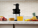 Spector Slow Juicer Cold Press Juice Extractor Quiet AP0043-AU