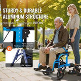 VEVOR 2 in 1 Rollator Walker Transport Chair for Seniors, Folding Rolling Walker Wheelchair Combo V952-EHYZXQCKJLQ8MZ3U6V0