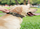 Tactical Dog Collar and Leash Set, Shock Absorbing Bungee Adjustable Strong Collar with V1259-DP01-A-4642