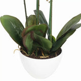 66cm Multi Stem Butterfly Artificial Potted Orchid With Pink Flowers V637-DP1018518