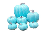 7 Pcs Artificial Pumpkin Cute Lifelike Foam Harvest Pumpkins for Autumn Holiday Decor Sky Blue V1294-YM0901-3115240077511