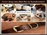 Premium Genuine Leather Dog Collar/Durable Real Leather Adjustable Collars For Male Female V1188-MS-430-1674-2