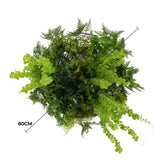 Imitation Gold Artificial Hanging Green Wall Disc 80cm UV Resistant Foliage V637-DP1191772