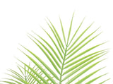 Artificial Modern Bushy Areca Fern Tree 120cm V77-1197928
