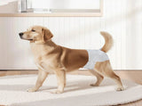 Disposable Dog Diapers, Super Absorbent Female Dog Diapers, 360&deg Leak-Proof Female Doggy Pet Diaper V952-CWNBZNKMG96PE32U1001V0