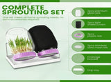 2-Pack Seed Sprouting Jar Odor-Free, Safe & Rust-Resistant, Sturdy & Durable for Sprouting V1366-AZ2-W-15044