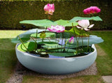Lotus Bowl Planter for Planting in Water Indoors x80x93 Ceramic Hydroponic Bonsai Flower Bowl for V1366-AZ2-W-16577