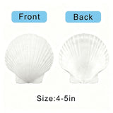 10Pcs Large Natural Scallop Shells,4'-5' Large Shell for Crafts,Diy Painting,Baking&Beach Wedding V1369-AZ3-W-17980